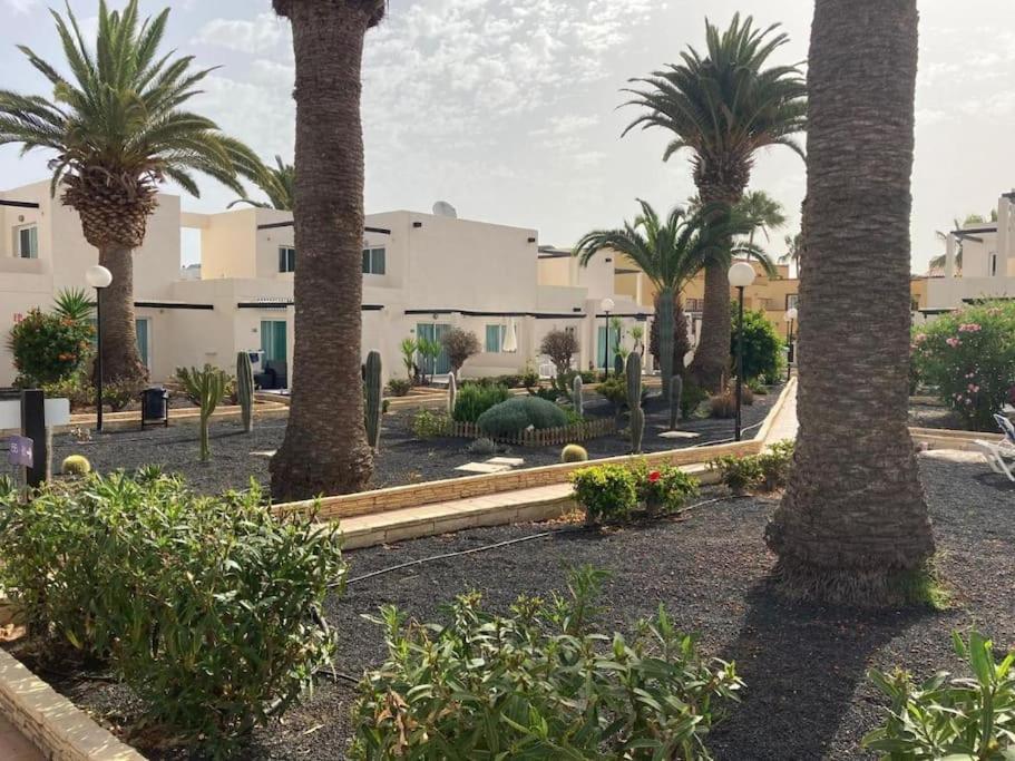Corralejo Suite Pool & Gardens - Alisios Playa 外观 照片