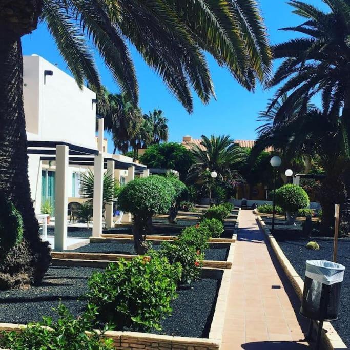 Corralejo Suite Pool & Gardens - Alisios Playa 外观 照片